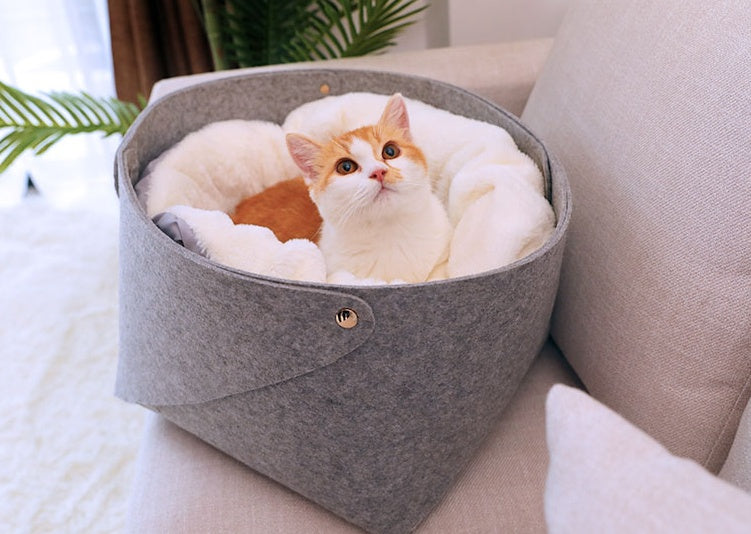 Pet bed, comfortable and relaxing