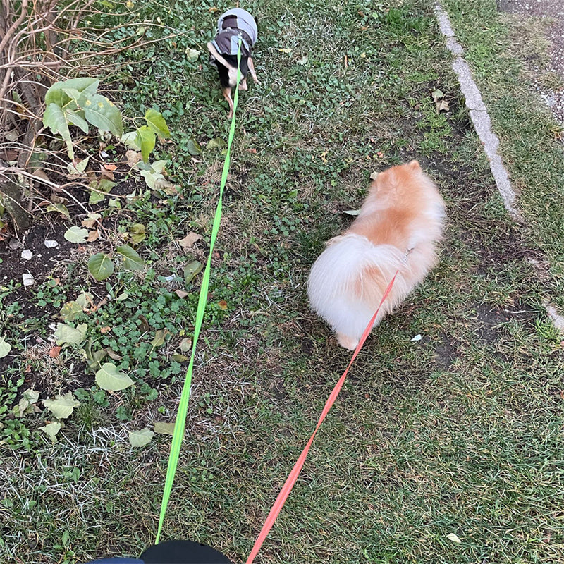 Reflective Dual Pet Walking Leash