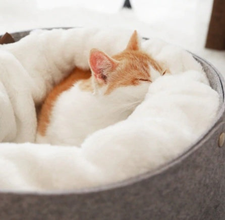 Pet bed, comfortable and relaxing